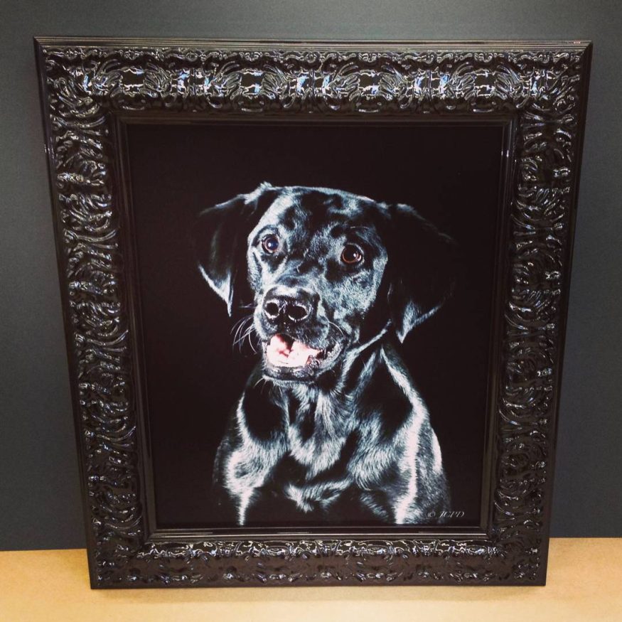 IMG_2347-black-dog-framed-photographs-frame-Prestige Picture Framing Etcetera